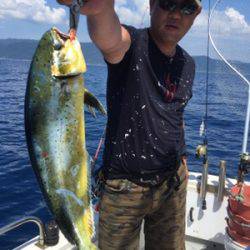 シーモンキー 釣果