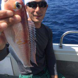 シーモンキー 釣果