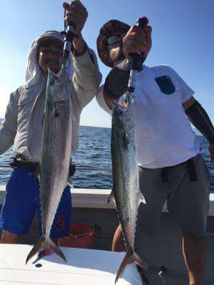 シーモンキー 釣果