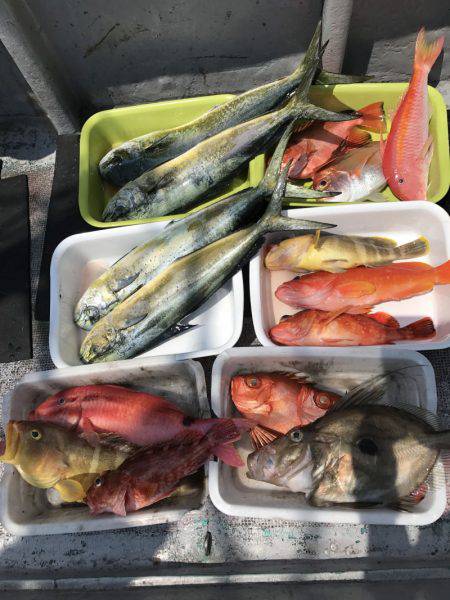 たいし丸 釣果
