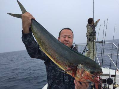 シーモンキー 釣果