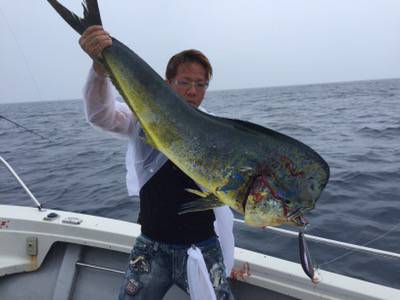 シーモンキー 釣果