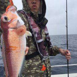 シーモンキー 釣果