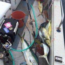 シーモンキー 釣果