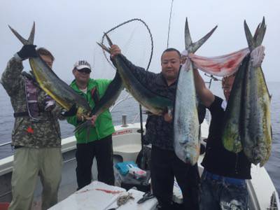 シーモンキー 釣果