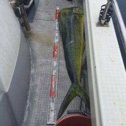 シーモンキー 釣果