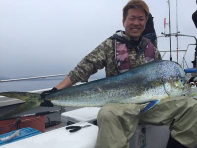 シーモンキー 釣果