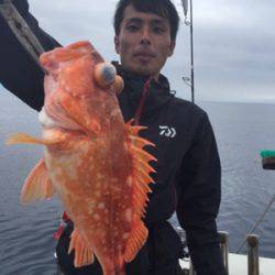 シーモンキー 釣果