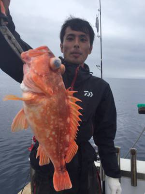 シーモンキー 釣果