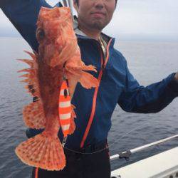 シーモンキー 釣果