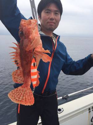 シーモンキー 釣果