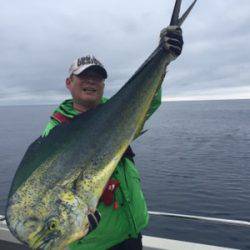 シーモンキー 釣果