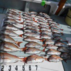 遊漁船 幸友丸 釣果