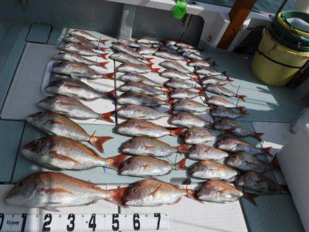 遊漁船 幸友丸 釣果