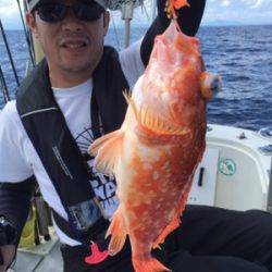 シーモンキー 釣果