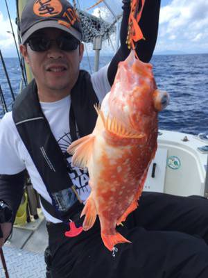 シーモンキー 釣果