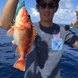 シーモンキー 釣果