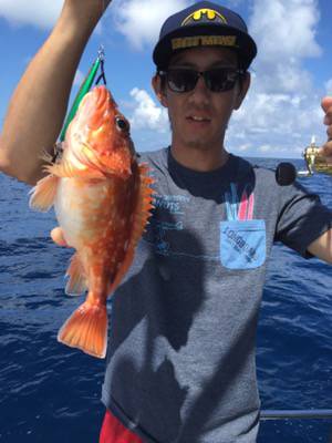 シーモンキー 釣果