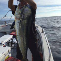 シーモンキー 釣果