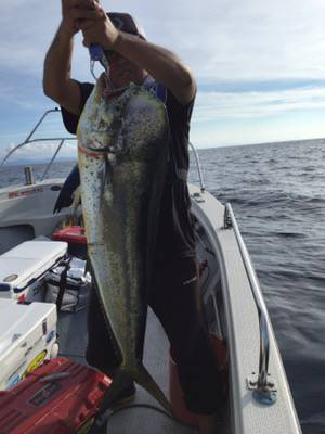 シーモンキー 釣果