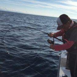 シーモンキー 釣果