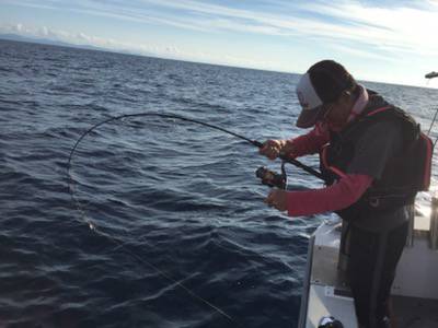 シーモンキー 釣果