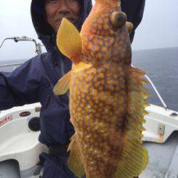 シーモンキー 釣果