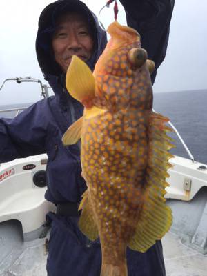 シーモンキー 釣果