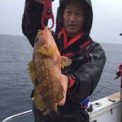 シーモンキー 釣果