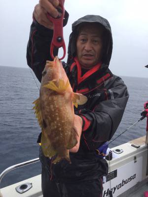 シーモンキー 釣果