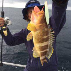 シーモンキー 釣果