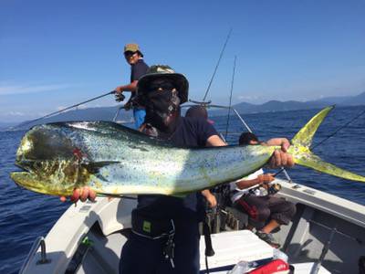 シーモンキー 釣果