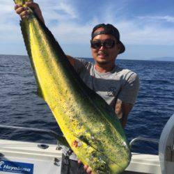 シーモンキー 釣果