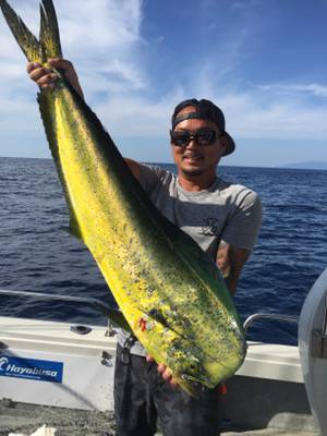 シーモンキー 釣果