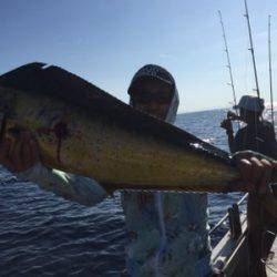 シーモンキー 釣果