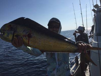 シーモンキー 釣果