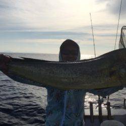 シーモンキー 釣果