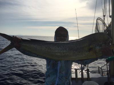 シーモンキー 釣果