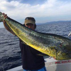 シーモンキー 釣果