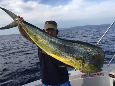 シーモンキー 釣果