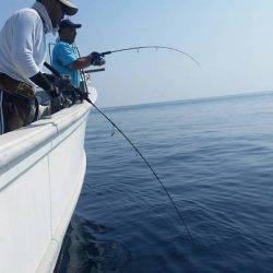 第五慶門丸 釣果