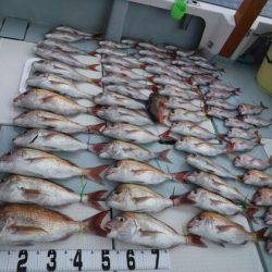 遊漁船 幸友丸 釣果