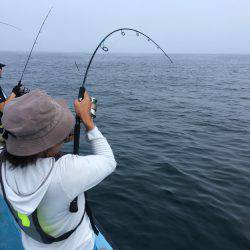 松鶴丸 釣果