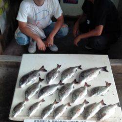 ふじや釣舟店 釣果