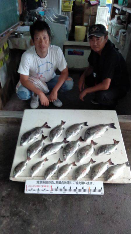 ふじや釣舟店 釣果