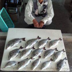 ふじや釣舟店 釣果