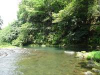 秩父フライフィールド 釣果