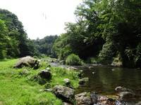 秩父フライフィールド 釣果