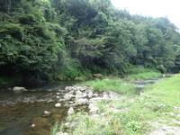 秩父フライフィールド 釣果