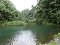 秩父フライフィールド 釣果